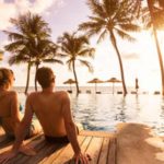 Como viajar de carro em segurança com cães ou gatos? Conheça as principais precauções a tomar