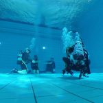 Produção intensiva da tâmara mais valorizada está a reduzir a biodiversidade no Norte de África