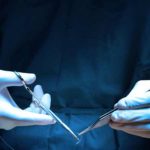 Casal de pandas gigantes chinês está a adaptar-se ao zoo de San Diego