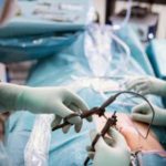 Casal de pandas gigantes chinês está a adaptar-se ao zoo de San Diego