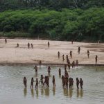 UTAD com 1702 vagas na 1.ª fase de acesso ao Ensino Superior