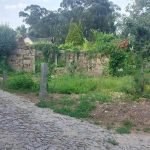 Assembleia Municipal de Terras de Bouro aprovou por unanimidade investimento em vias municipais