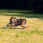 83,7% das pessoas que realizam obras em casa recorrem apenas a poupanças