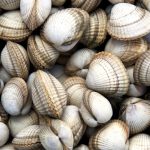 Encontros da Imagem regressam com mais de 40 exposições de fotografia e prémios