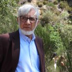 Homem detido em Vila Verde por ofensas à integridade física e posse de arma proibida