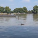 Mulher de 47 anos resgatada após ficar ferida durante trilho no Gerês