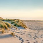 ‘Tolerance Poster Show’ está patente na entrada principal do Hospital de Braga