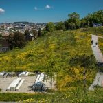 Profissionais e investigadores juntam-se em Vila Verde para responder a novos desafios com crianças e jovens