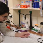 Amares aprova Plano Diretor Municipal