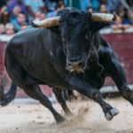 Jovens resgatam idosa que partiu a perna e carregam-na durante caminhada