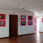 Cidália Abreu suspende mandato de deputada na Assembleia da República