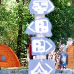 Arte e identidade assinalam Dia Municipal para a Igualdade em Vila Verde