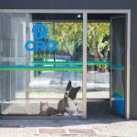 Professor de Moral condenado a 8 anos por abuso de alunas em Famalicão