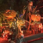 Alface murcha? É isto que deve fazer para ‘ressuscitá-la’