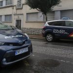 Ouriços passam para categoria de “quase ameaçados” de extinção