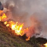 Investigadores da UCoimbra regressam do Iraque com novos achados arqueológicos inéditos
