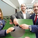 Réplica da acácia do filho de Camilo abatida em Famalicão, Câmara investiga