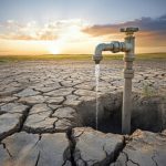 Município de Braga mapeia mais de 102 mil árvores e 1.400 hectares de espaços verdes