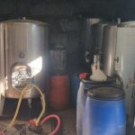 Árvore dos Sonhos ajuda a concretizar desejos de utentes de cinco instituições de Braga