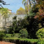 Amigos da Montanha recebem distinção nacional de Melhor Entidade pelo IPDJ