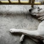 Guimarães reforça promoção turística na BTL 2026 – a maior feira de turismo realizada em Portugal arranca esta quarta-feira