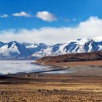 Surgiu primeiro o ovo ou a galinha? Estudo suíço opta pela primeira opção