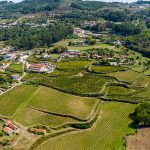 Alunos das Escolas de Braga participaram na votação do Orçamento Participativo Escolar
