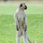 Arquidiocese de Braga anunciou novos órgãos do Colégio D. Diogo de Sousa