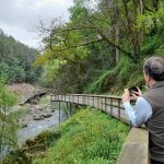 Casa do Povo de Vale do Cávado realiza o habitual Almoço de Natal com utentes e comunidade