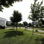 Vida na Terra é 1,5 mil milhões de anos mais antiga do que se pensava