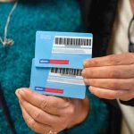 Guimarães disponibiliza pinheiros de Natal em prol da sustentabilidade ambiental