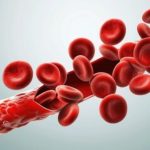 Professor da Póvoa de Lanhoso acusado quer indemnizar alunas mas diz ter só 30 mil euros