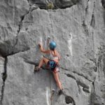 Morreu um dos quatro linces capturados na Escócia