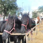 Autarca de Braga admite “passos” para a criação da AM do Minho