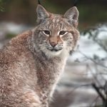 Jovem morre ao cair de 150 metros de altura durante escalada em Málaga