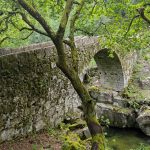 UMinho lidera nas patentes em Portugal