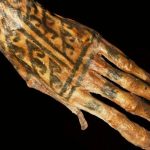 Quatro alimentos que podem ajudar a reduzir a inflamação