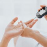 XII Exposição de Camélias de Guimarães celebra a beleza e diversidade desta flor emblemática