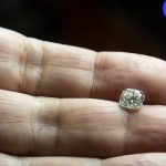 Jacaré encontrado dentro de piscina de clube no Brasil