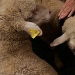 “Norte tem um desempenho de topo nos domínios da inovação e do empreendedorismo” refere estudo da OCDE