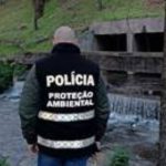 Três mulheres constituídas arguidas por tentaram burlar ourivesaria em Ponte de Lima