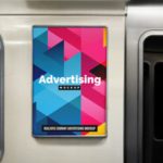 Veterinário revela estratégias diárias para manter os animais felizes e saudáveis