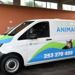 Recolha de Sangue na Escola Secundária de Vila Verde