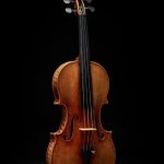 Bombeiros resgatam “veado jovem” do gelo com ajuda de cordas