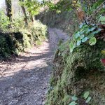 Agressões entre funcionária e cliente em estabelecimento comercial de Famalicão