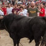 Uncover: o festival que quer “ver para lá da imagem” realiza-se em Guimarães