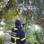 Exposição ‘Bordadeiras da Ribeira do Neiva’ para ver nos Paços do Concelho de Vila Verde