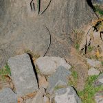 Sete (mini) hábitos para implementar já hoje e começar a viver com leveza