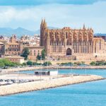 Tom morreu aos 23 anos num acidente. Mas, nesse momento, salvou 13 vidas