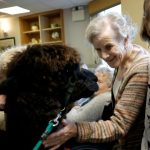 Quer dormir melhor? Pare de comer isto ao jantar, aconselham dietistas